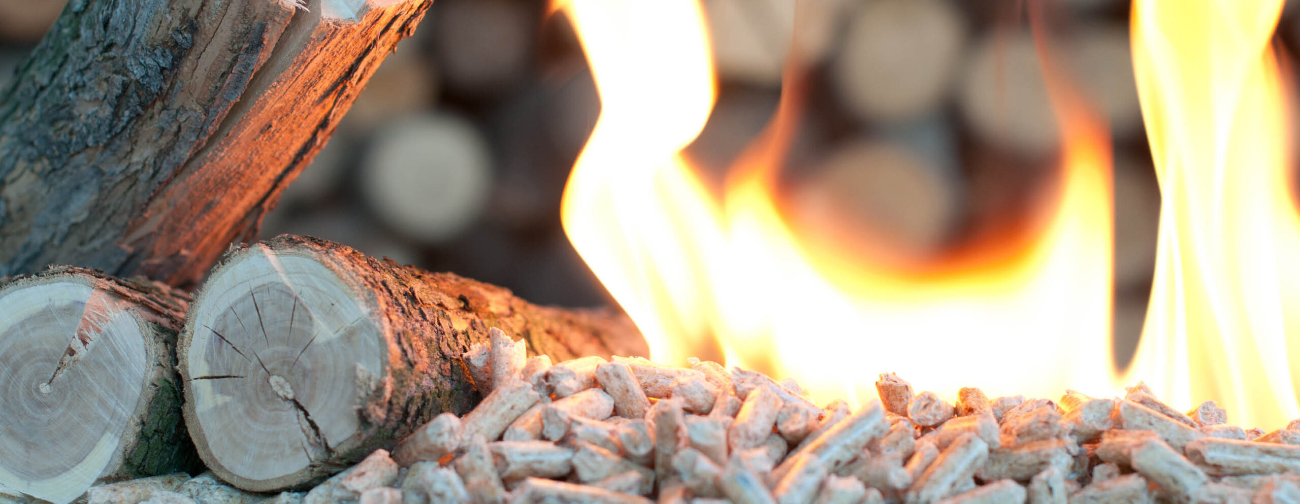 Förderung Heizung 2025